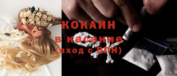 гидра Наволоки