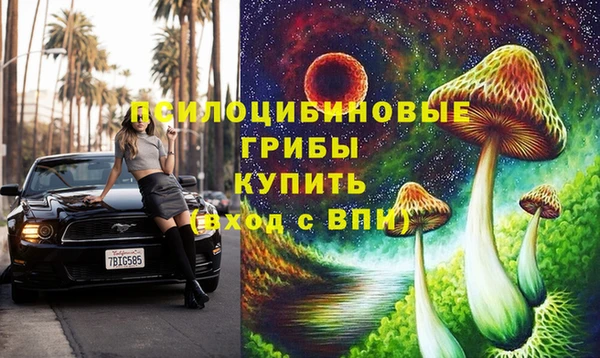 винт Алексин