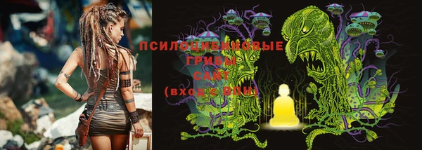 твердый Алексеевка