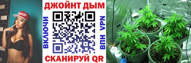Каннабис SATIVA & INDICA  Цимлянск 